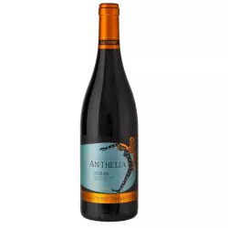 La Vierge Anthelia Shiraz